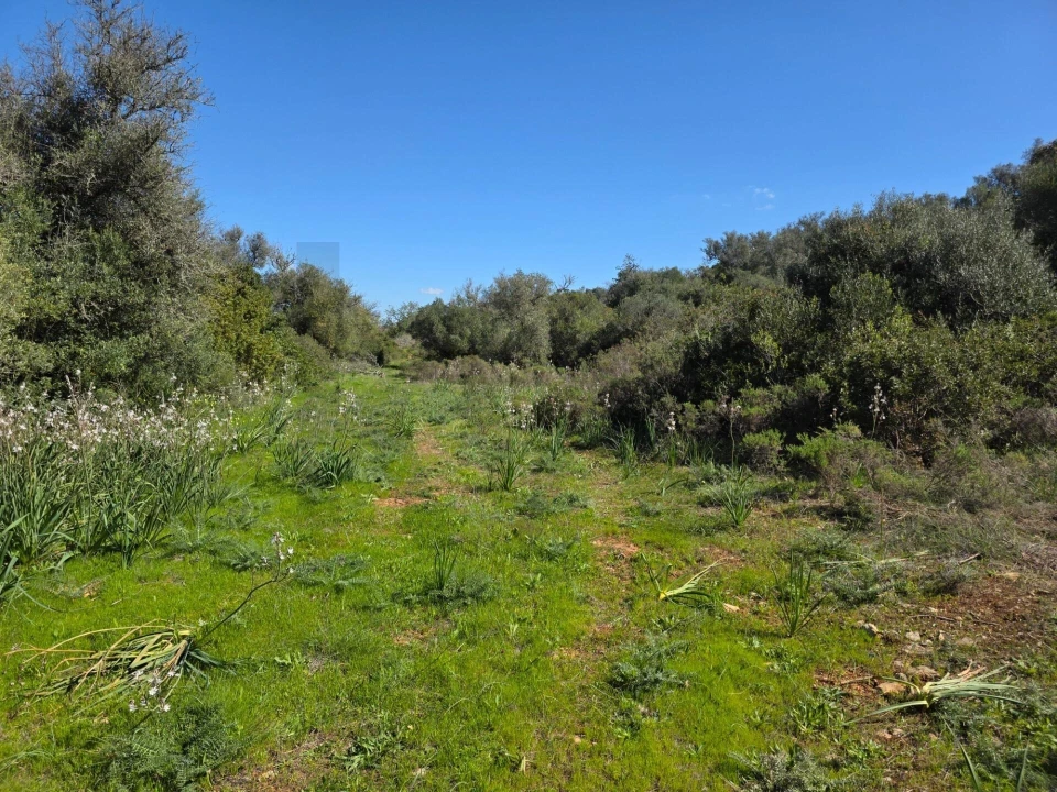 Terreno para Venda em São Silvestre Foto 2