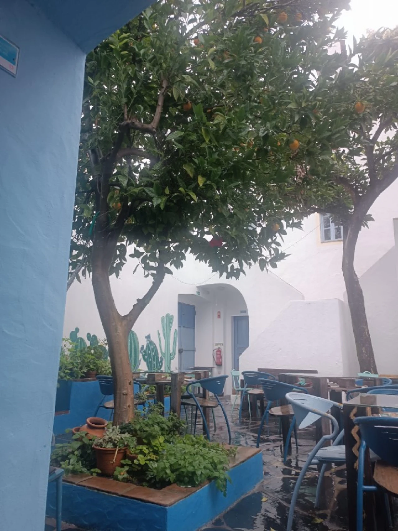 Moradia T6 para Venda em Sé e São Lourenço Foto 19