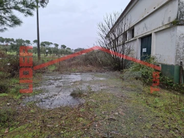 Armazém para Venda em Agrobom, Saldonha e Vale Pereiro