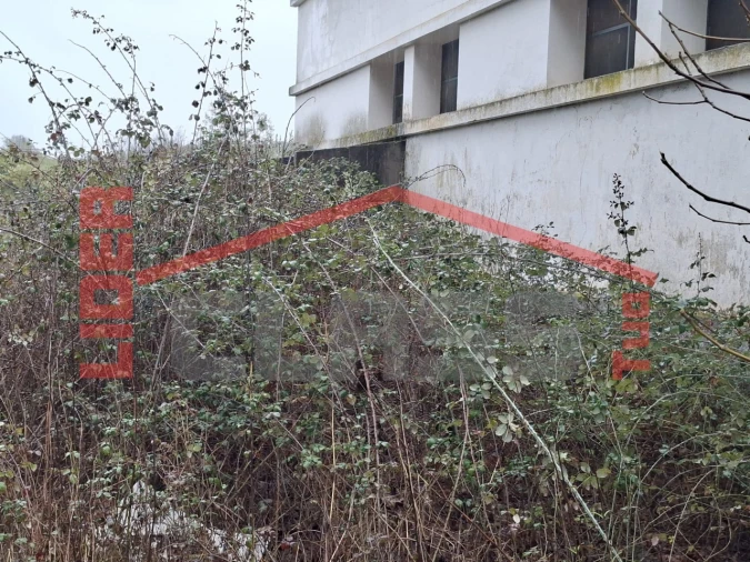 Armazém para Venda em Agrobom, Saldonha e Vale Pereiro Foto 6