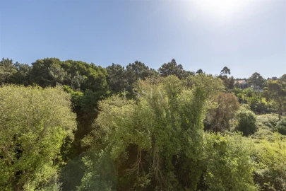 Apartamento T3 para Venda em Canidelo