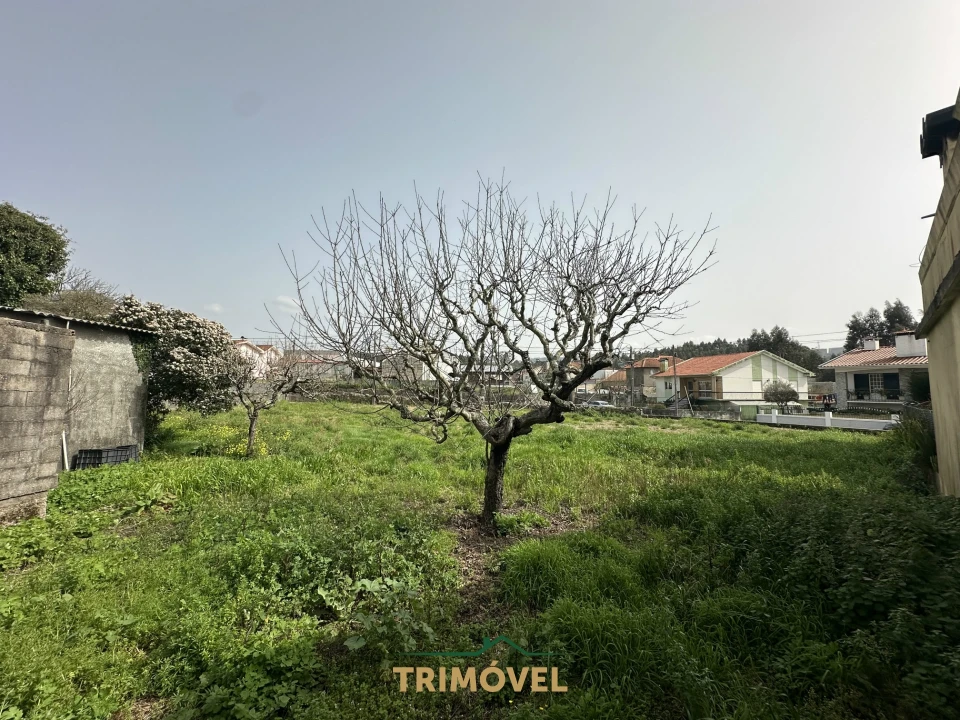 Terreno para Venda em São Roque Foto 5