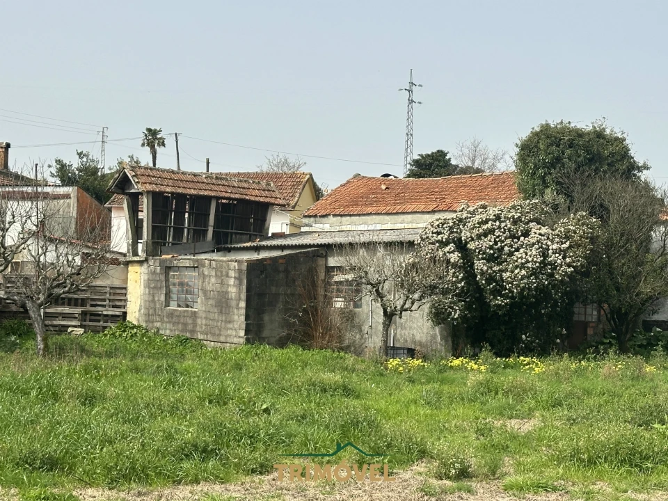 Terreno para Venda em São Roque Foto 10