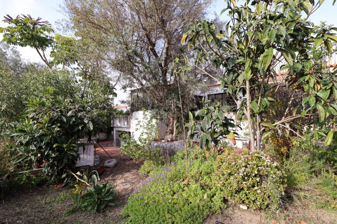 Moradia T3 para Venda em Quarteira Foto 40