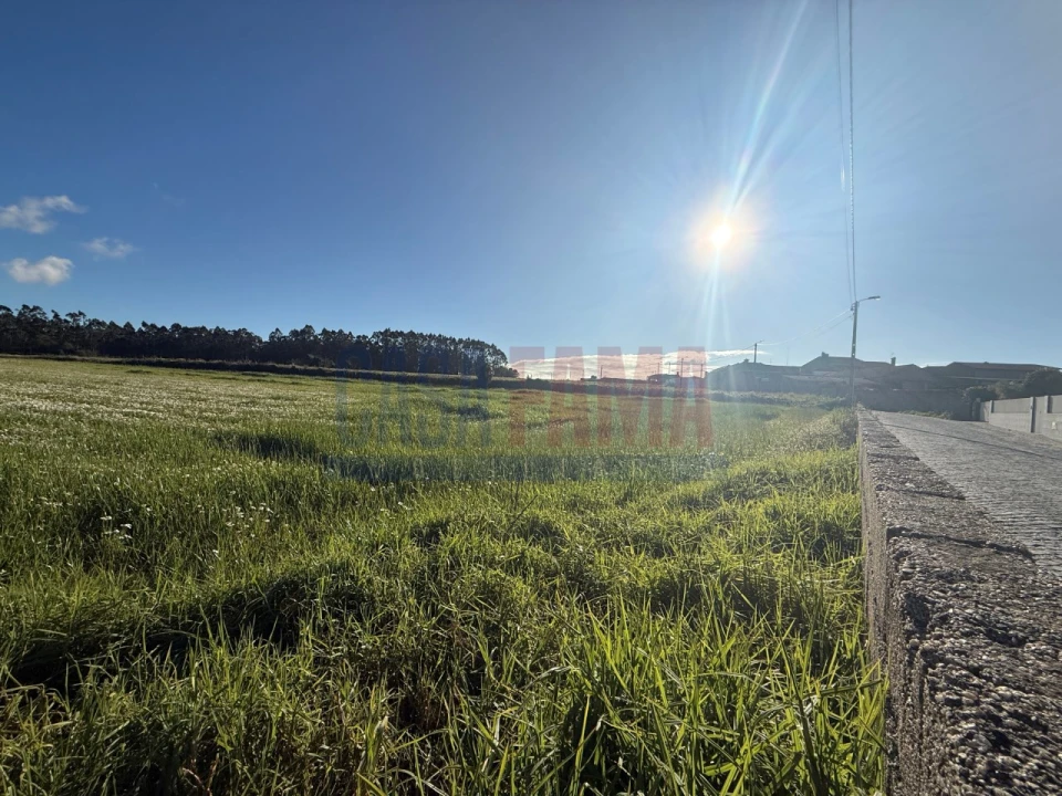 Terreno Agricola ou Rústico para Venda em Estela Foto 1