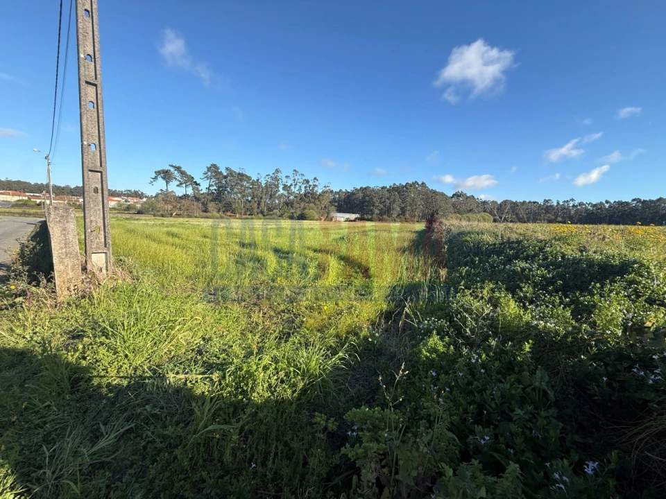 Terreno Agricola ou Rústico para Venda em Estela Foto 2