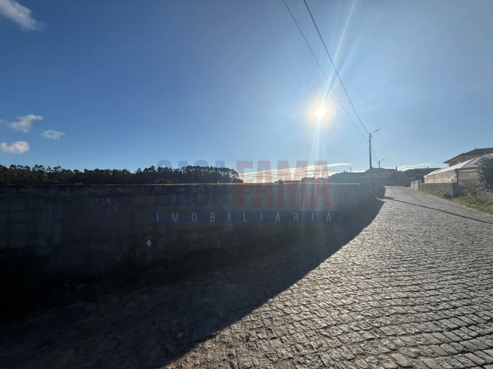 Terreno Agricola ou Rústico para Venda em Estela Foto 3