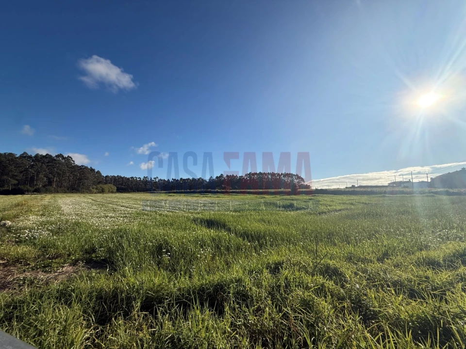 Terreno Agricola ou Rústico para Venda em Estela Foto 4
