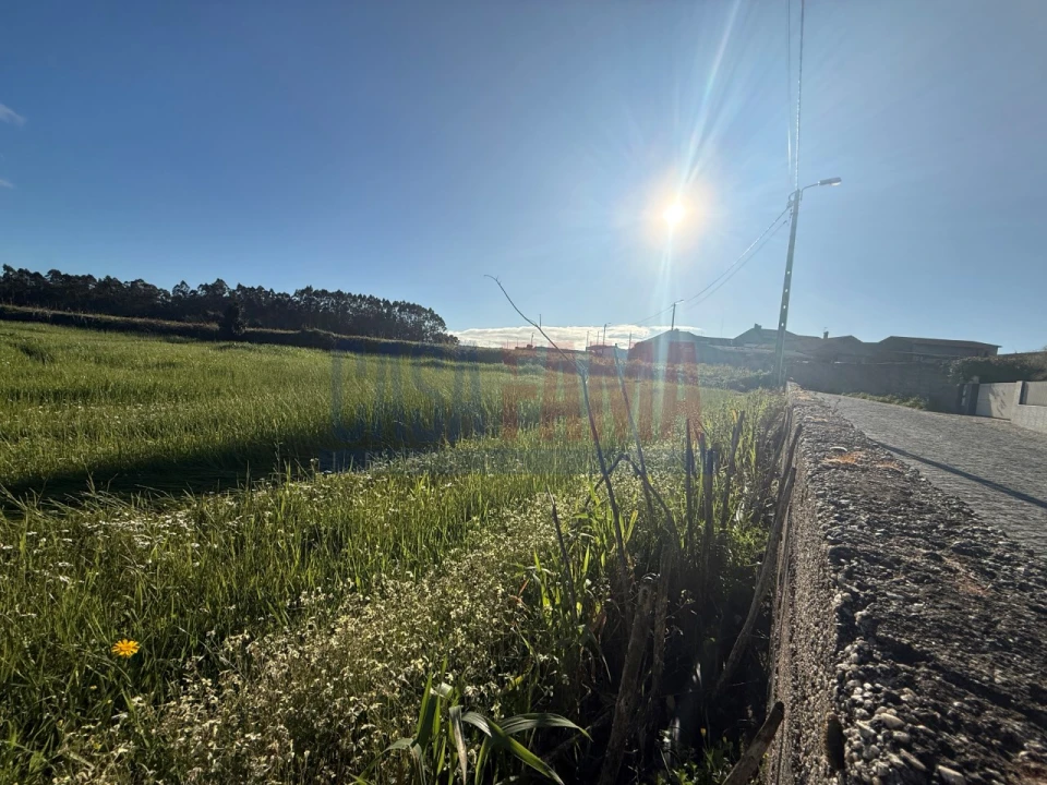 Terreno Agricola ou Rústico para Venda em Estela Foto 8