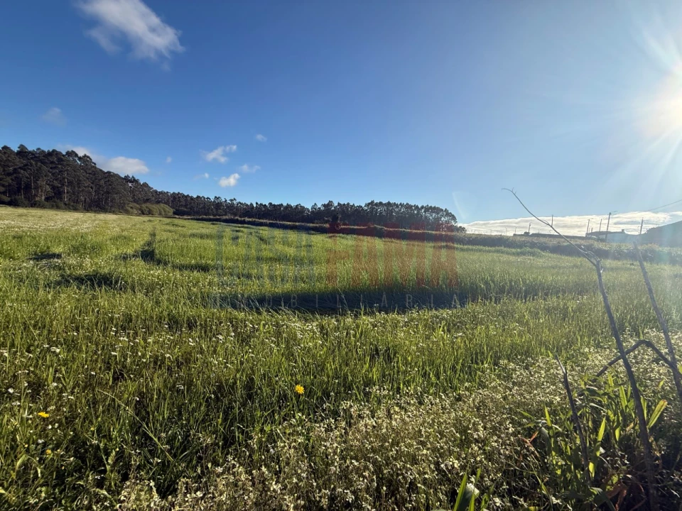 Terreno Agricola ou Rústico para Venda em Estela Foto 9