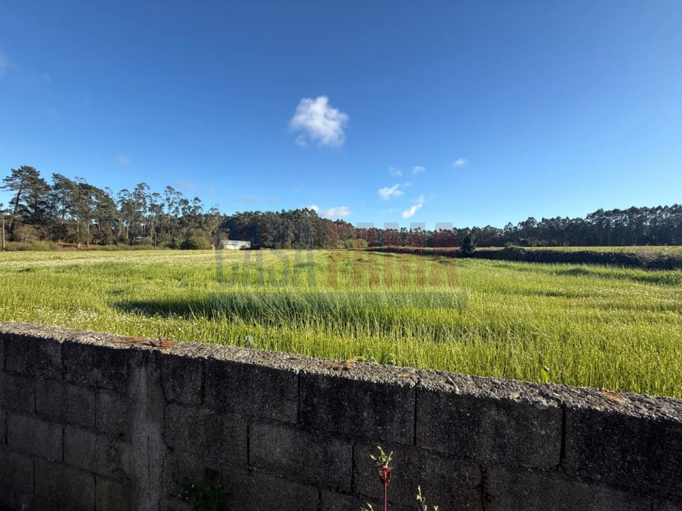 Terreno Agricola ou Rústico para Venda em Estela Foto 15