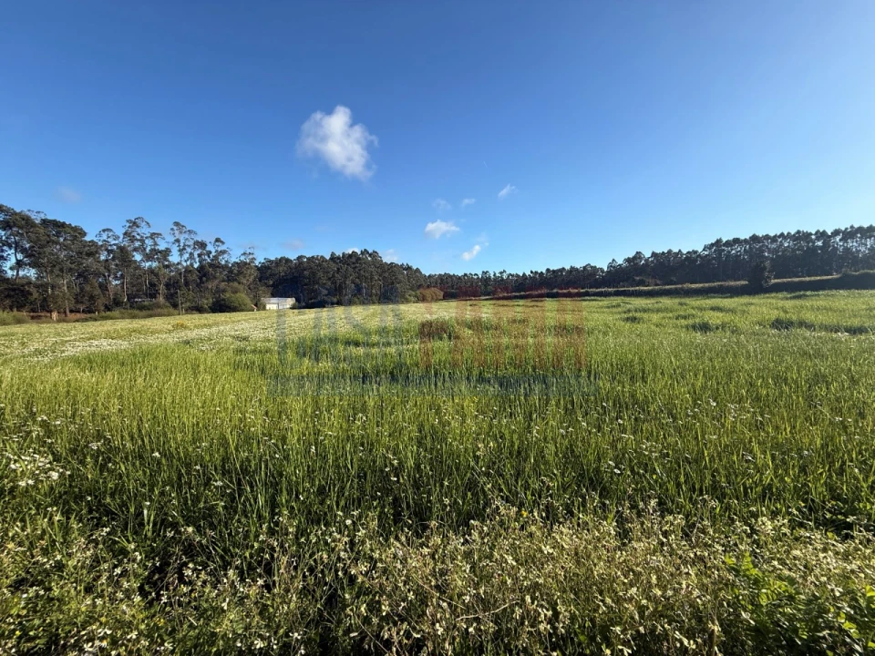 Terreno Agricola ou Rústico para Venda em Estela Foto 17