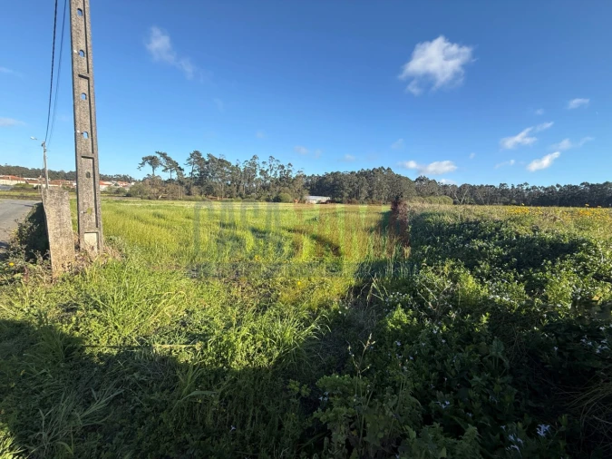Terreno Agricola ou Rústico para Venda em Estela Foto 2