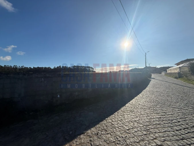 Terreno Agricola ou Rústico para Venda em Estela Foto 3