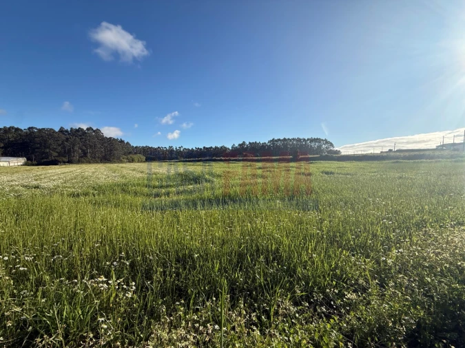 Terreno Agricola ou Rústico para Venda em Estela Foto 5