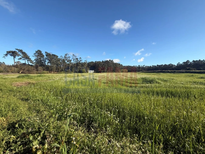Terreno Agricola ou Rústico para Venda em Estela Foto 7