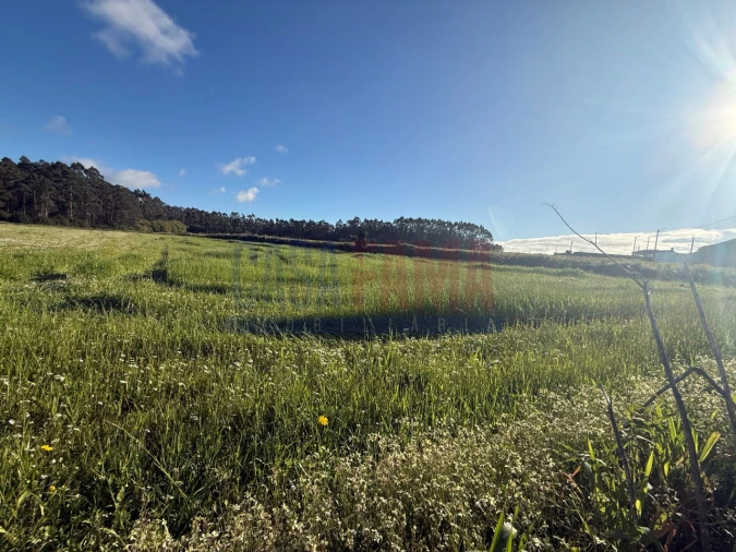 Terreno Agricola ou Rústico para Venda em Estela Foto 9