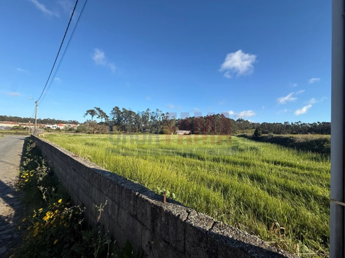 Terreno Agricola ou Rústico para Venda em Estela Foto 10