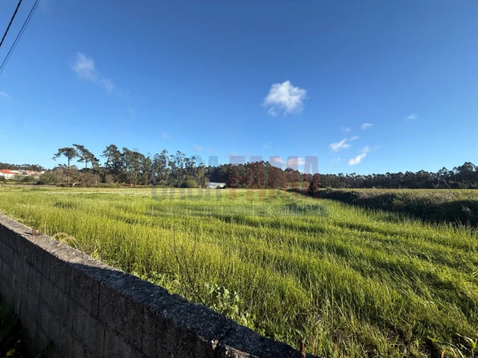 Terreno Agricola ou Rústico para Venda em Estela Foto 11