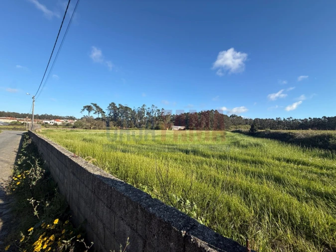 Terreno Agricola ou Rústico para Venda em Estela Foto 12