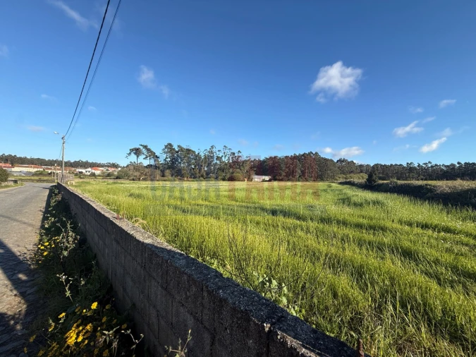 Terreno Agricola ou Rústico para Venda em Estela Foto 13