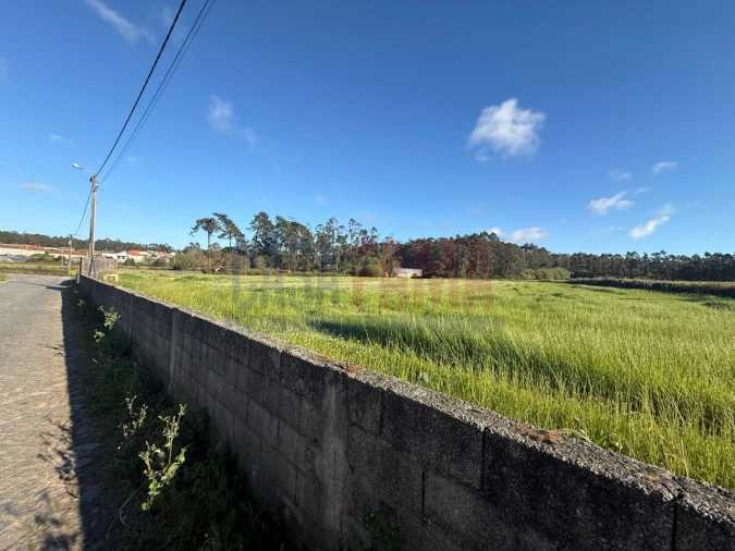 Terreno Agricola ou Rústico para Venda em Estela Foto 14