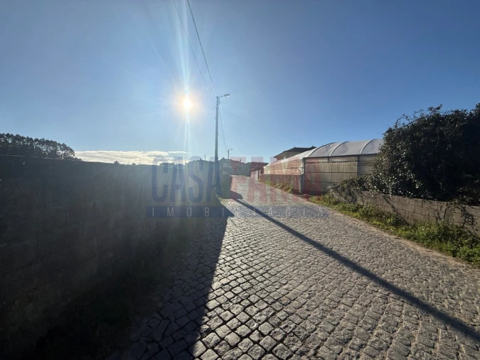 Terreno Agricola ou Rústico para Venda em Estela Foto 16
