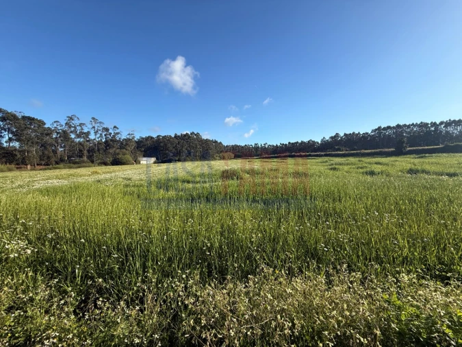 Terreno Agricola ou Rústico para Venda em Estela Foto 17
