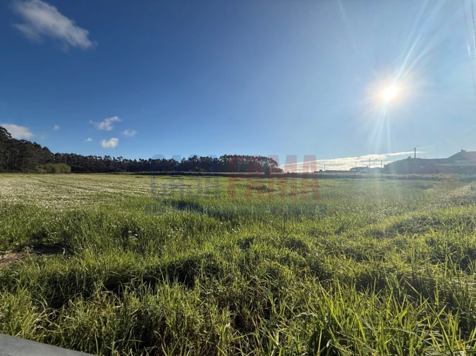 Terreno Agricola ou Rústico para Venda em Estela Foto 23