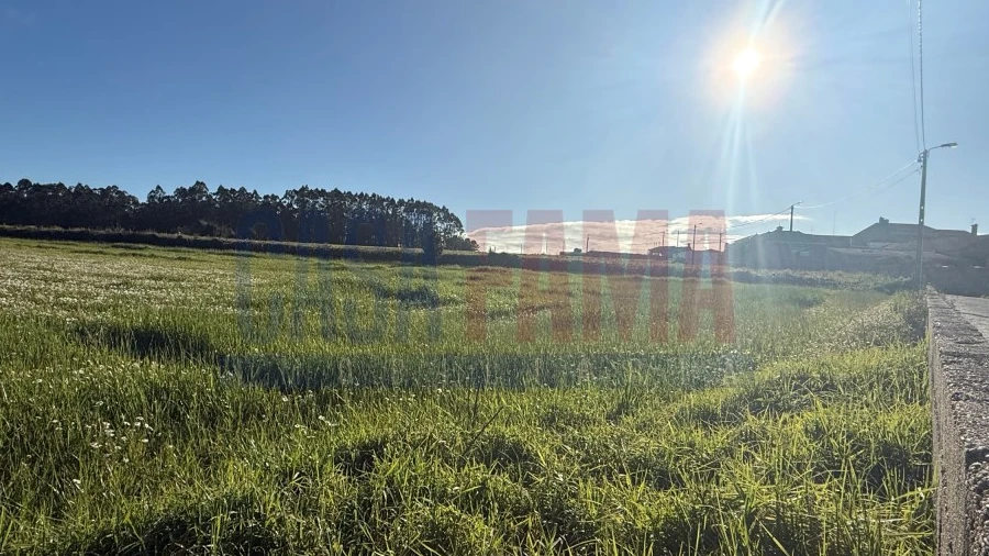 Terreno Agricola ou Rústico para Venda em Estela