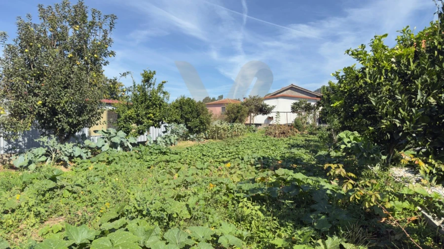 Moradia T3 para Venda em Cabração e Moreira do Lima Foto 27