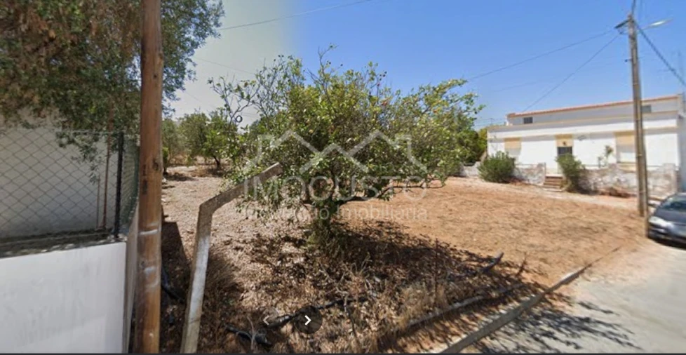 Terreno para Venda em Altura Foto 2