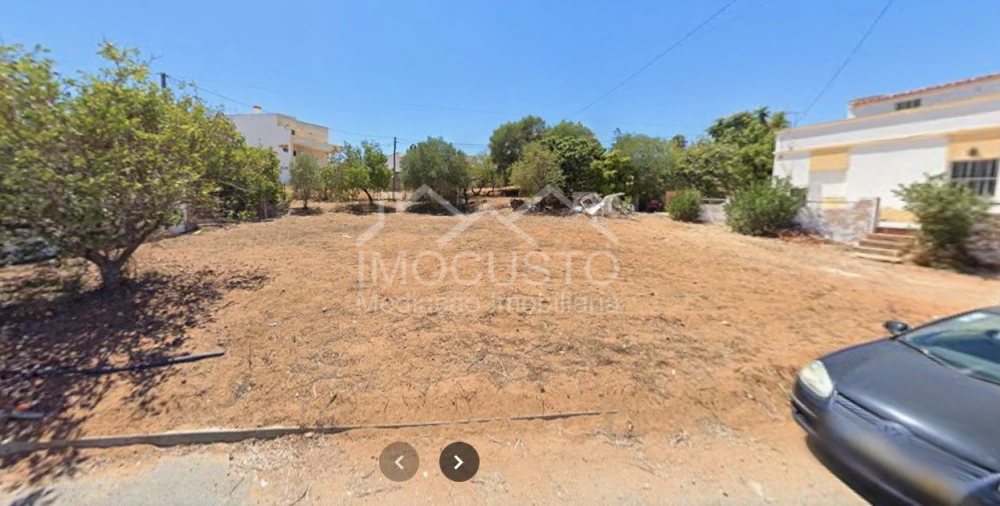 Terreno para Venda em Altura Foto 3