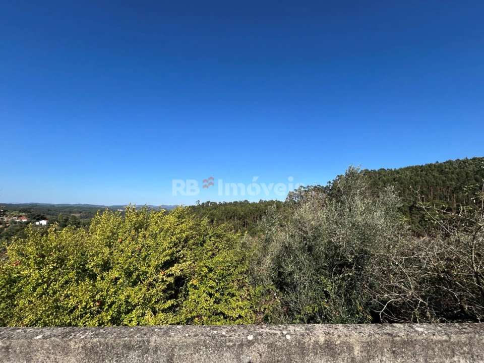 Moradia T2 para Venda em Serra e Junceira Foto 16