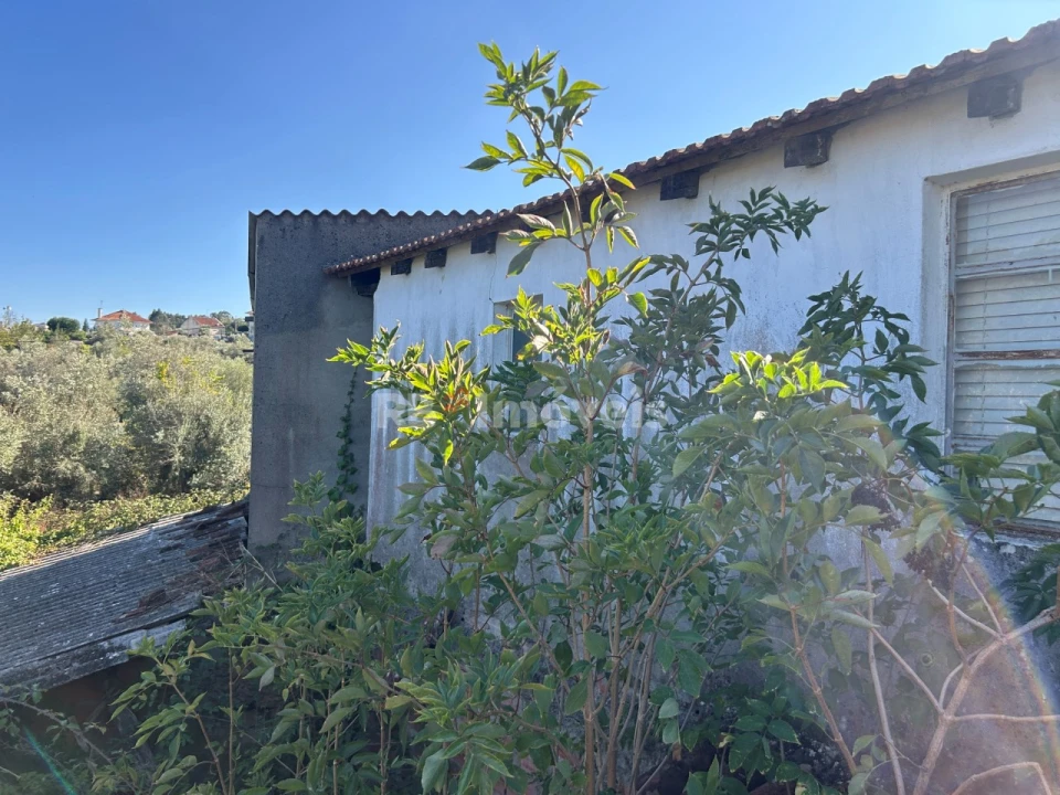 Moradia T2 para Venda em Serra e Junceira Foto 20