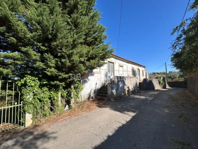 Moradia T2 para Venda em Serra e Junceira Foto 3