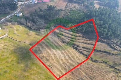 Terreno para Venda em São João da Corveira