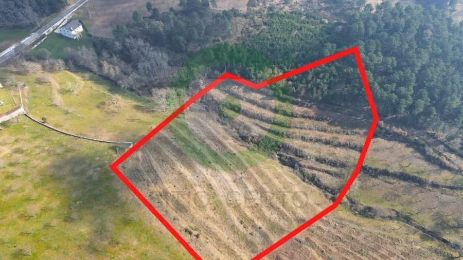 Terreno para Venda em São João da Corveira
