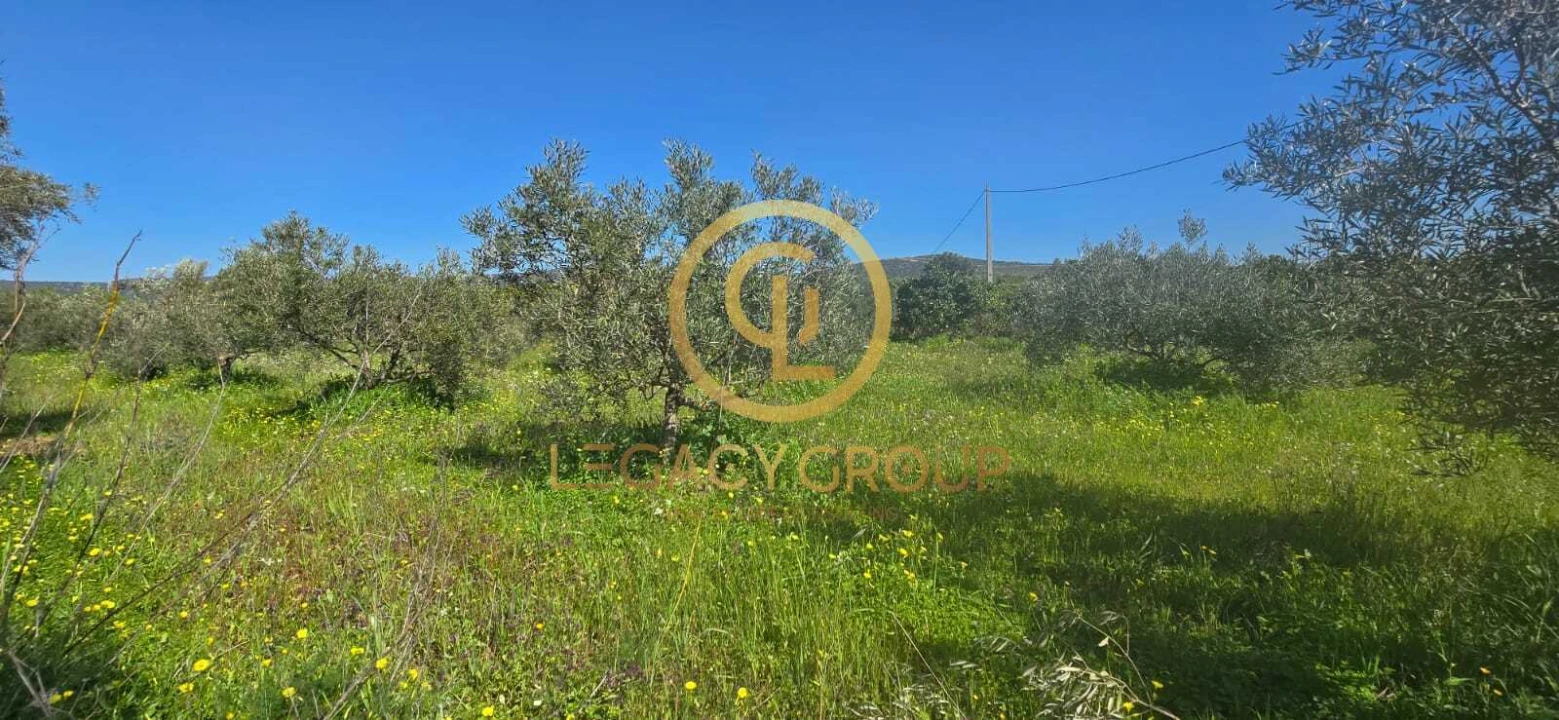 Terreno para Venda em Paderne Foto 10