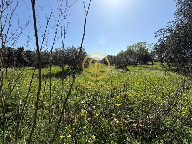 Terreno para Venda em Paderne Foto 1