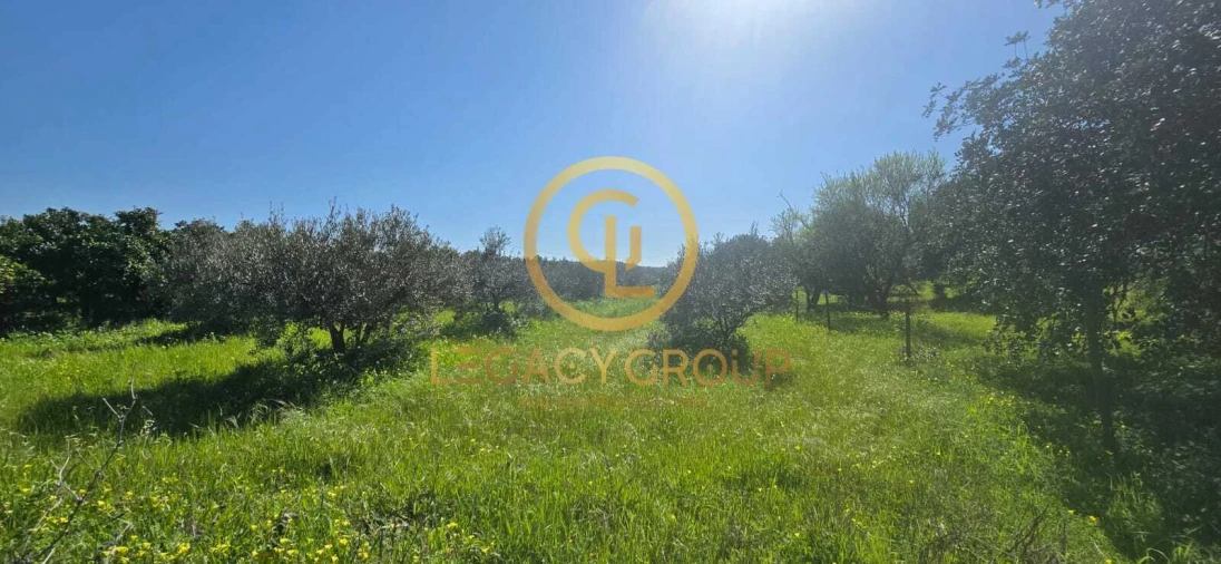 Terreno para Venda em Paderne Foto 11