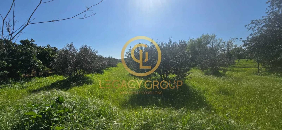 Terreno para Venda em Paderne Foto 9