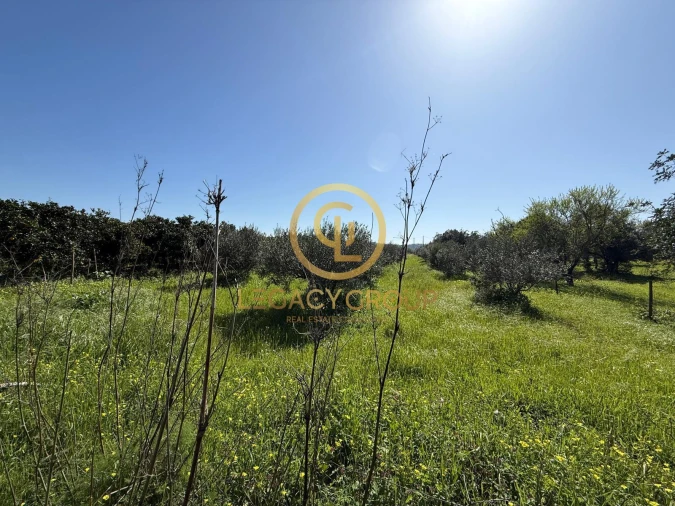 Terreno para Venda em Paderne Foto 2