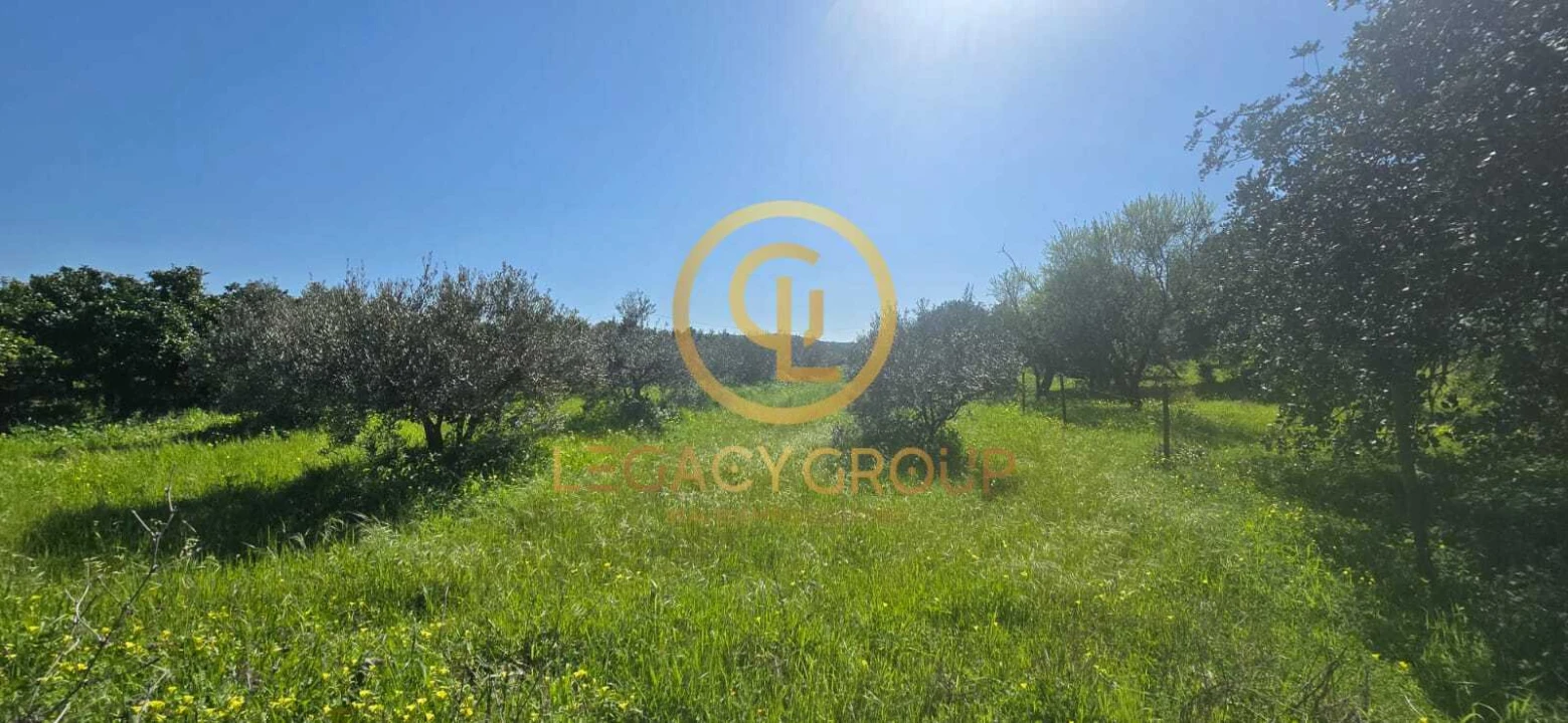 Terreno para Venda em Paderne Foto 11