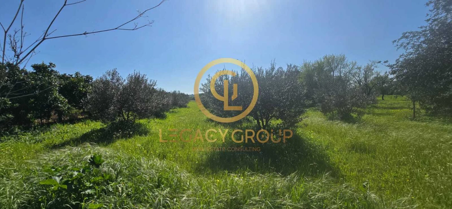 Terreno para Venda em Paderne Foto 9