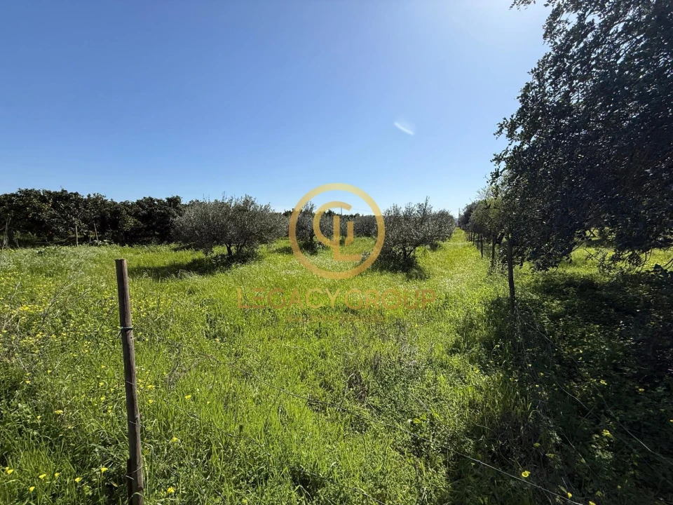 Terreno para Venda em Paderne Foto 3