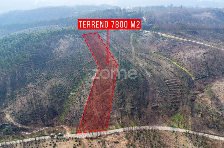 Terreno para Venda em Rio Mau Foto 9