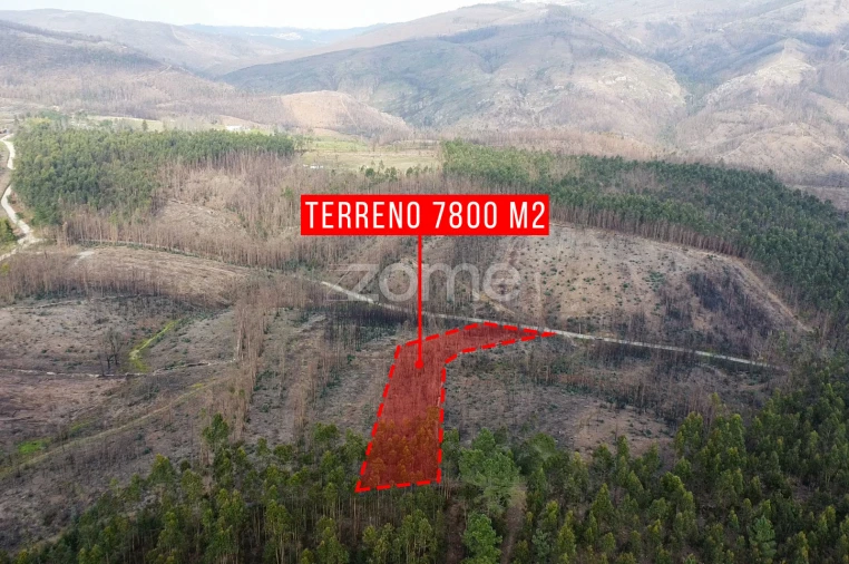 Terreno para Venda em Rio Mau Foto 8