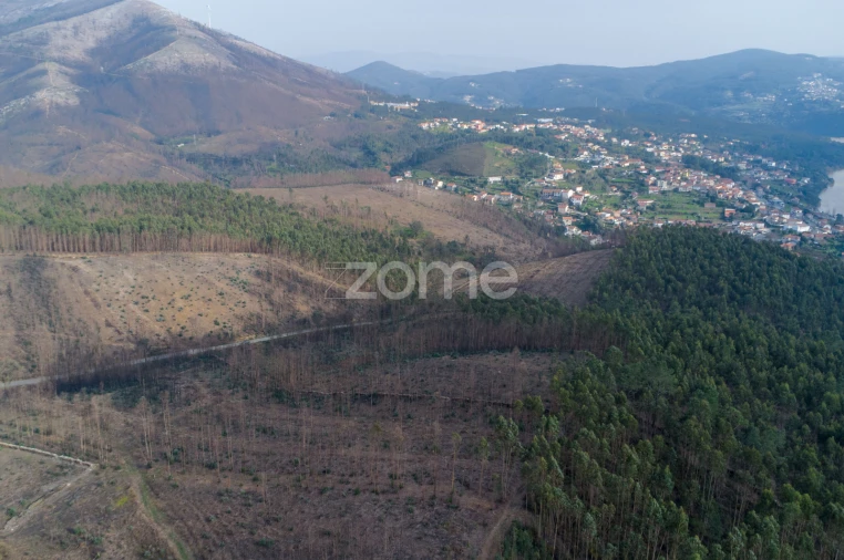 Terreno para Venda em Rio Mau Foto 3