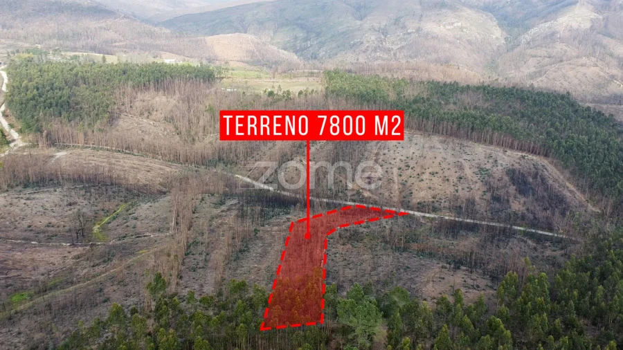 Terreno para Venda em Rio Mau